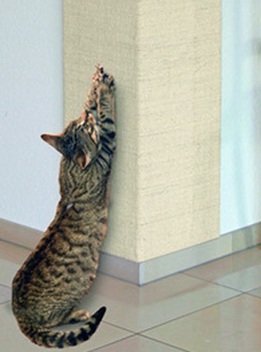 Billede af Kradsevæg til katte - hjørne-model 28x52cm